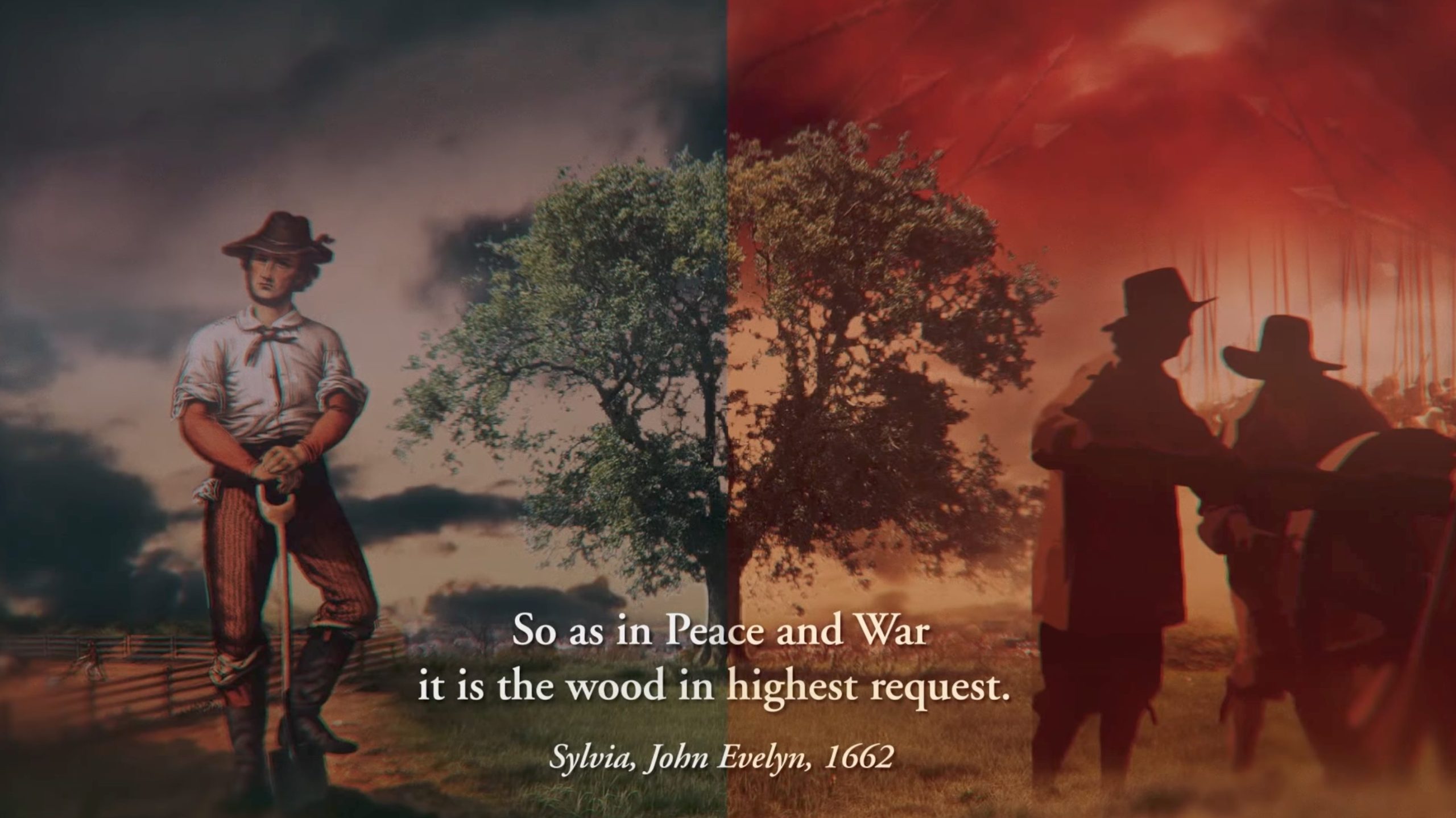 Ash Tree Appeal Film