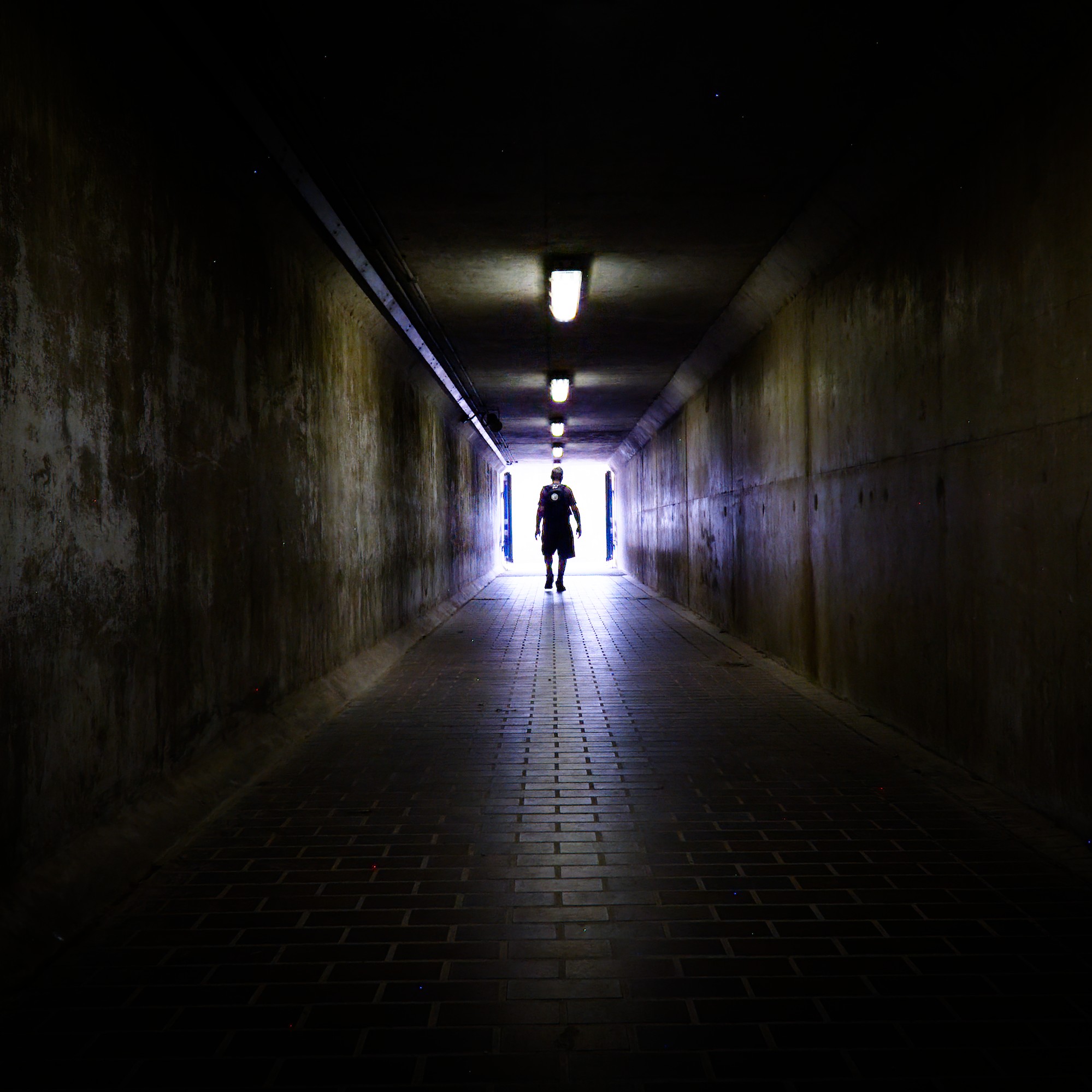 Shadows