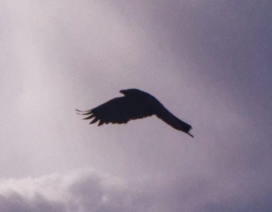 Up and Away